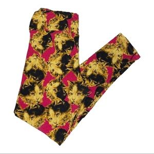 LuLaRoe Raspberry Adorable Kitten Face No Piling Cozy Lounge Tights L Tall Curvy